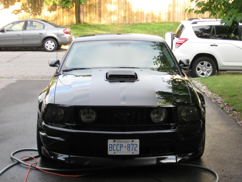 Name: IMG_0262.jpg
Views: 130
Size: 106.4 KB