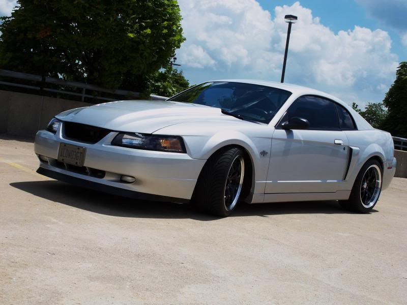 Name:  100_2446.jpg
Views: 25
Size:  73.3 KB