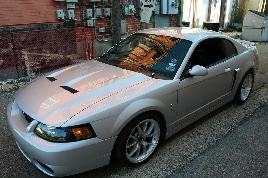 Name:  Newsprings9-28-08021.jpg
Views: 230
Size:  129.1 KB