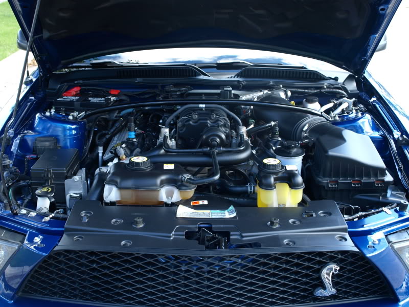 Name:  P8144361.jpg
Views: 30
Size:  138.1 KB