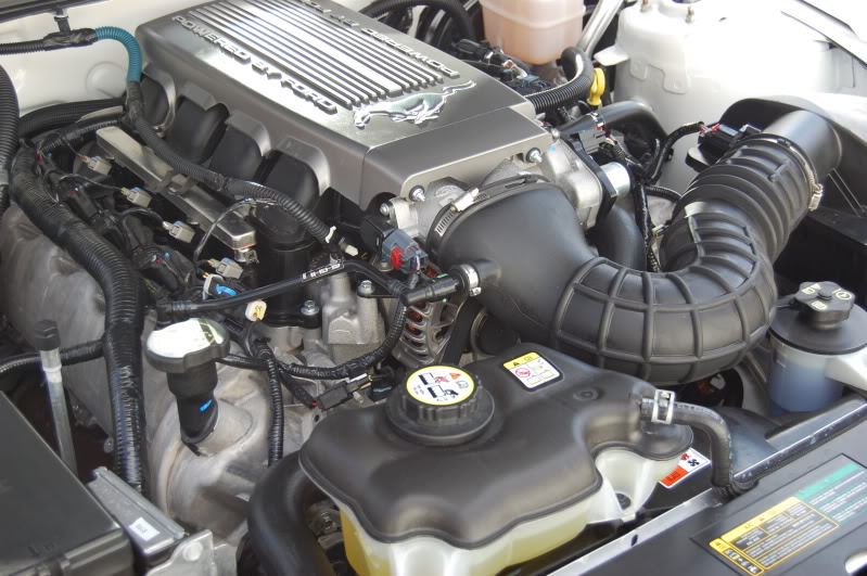 Name:  DSC_0461.jpg
Views: 61
Size:  127.7 KB