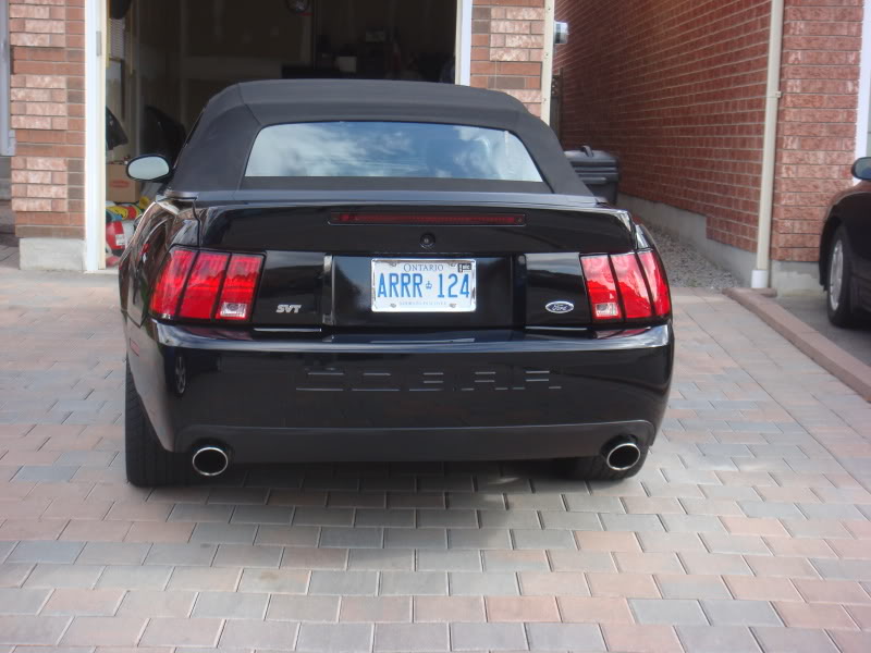 Name:  DSC03492.jpg
Views: 30
Size:  91.9 KB