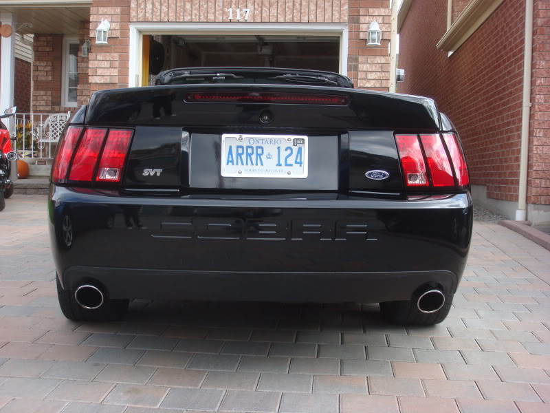 Name:  DSC03501.jpg
Views: 27
Size:  103.5 KB