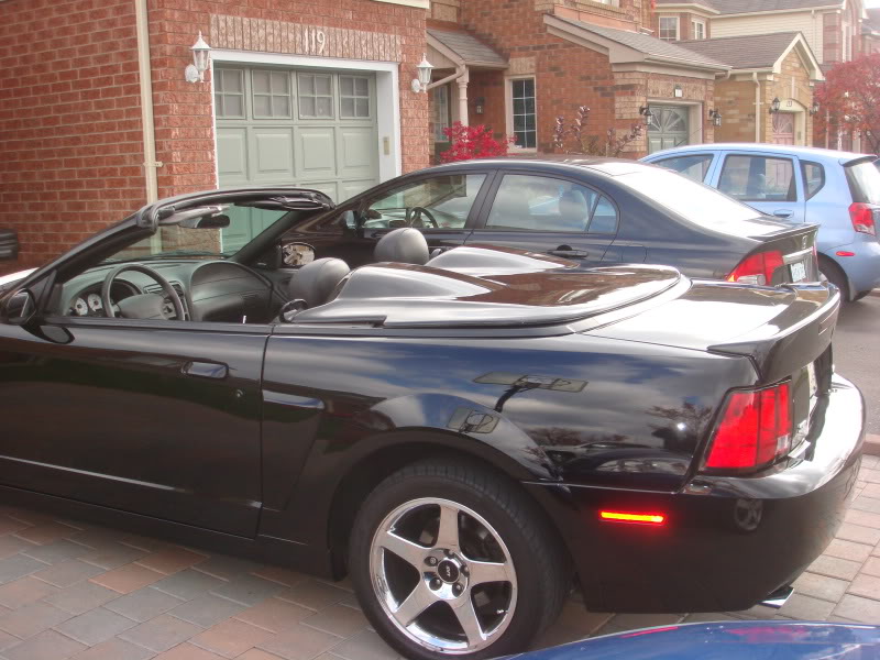 Name:  DSC03506.jpg
Views: 26
Size:  116.8 KB