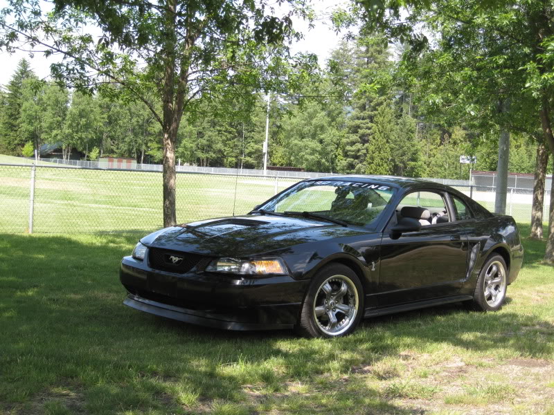 Name:  007.jpg
Views: 33
Size:  181.7 KB