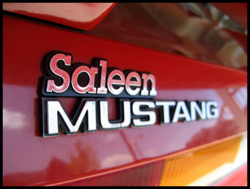 Name:  Homeatlast-May312009_0007pp.jpg
Views: 104
Size:  66.7 KB