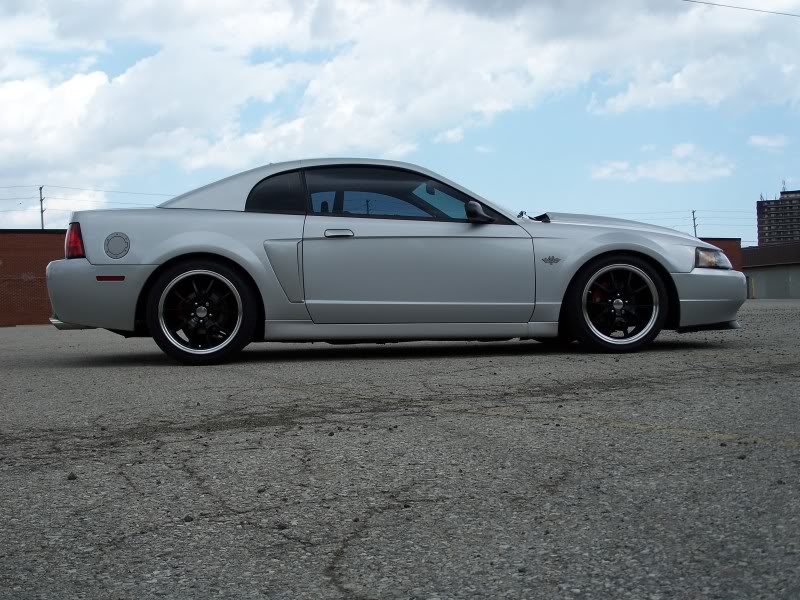 Name:  100_2378.jpg
Views: 32
Size:  106.3 KB