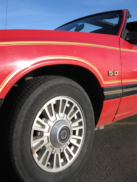 Name:  IMG_3514.jpg
Views: 198
Size:  64.8 KB