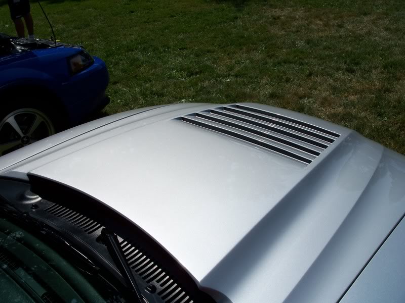 Name:  100_0822.jpg
Views: 24
Size:  86.3 KB