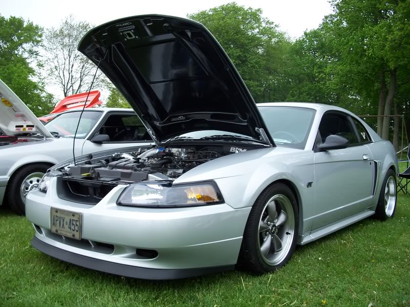 Name:  100_0753.jpg
Views: 25
Size:  131.7 KB