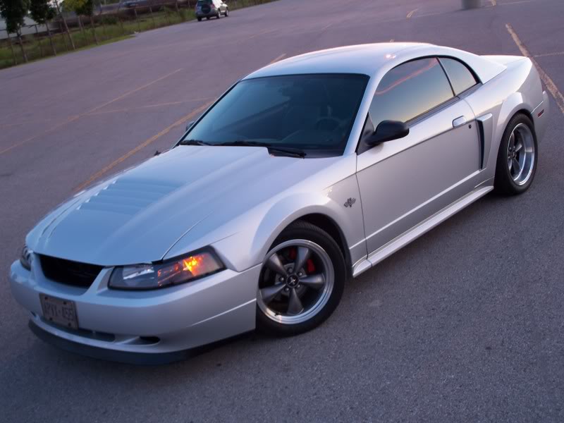 Name:  100_1580.jpg
Views: 29
Size:  72.3 KB