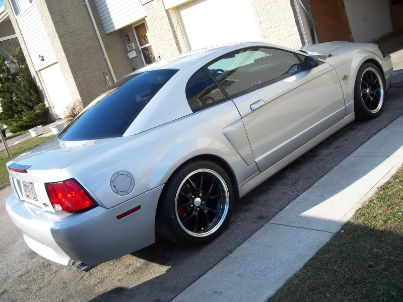 Name:  100_2166.jpg
Views: 25
Size:  115.4 KB