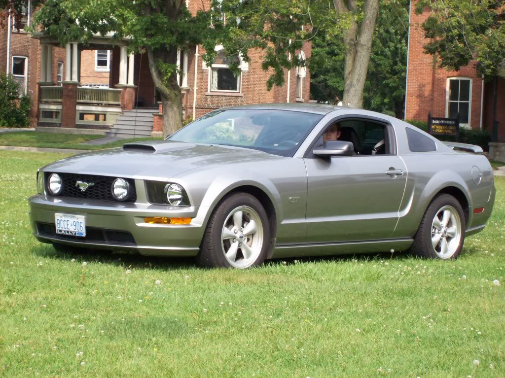 Name:  000_0010.jpg
Views: 17
Size:  187.2 KB