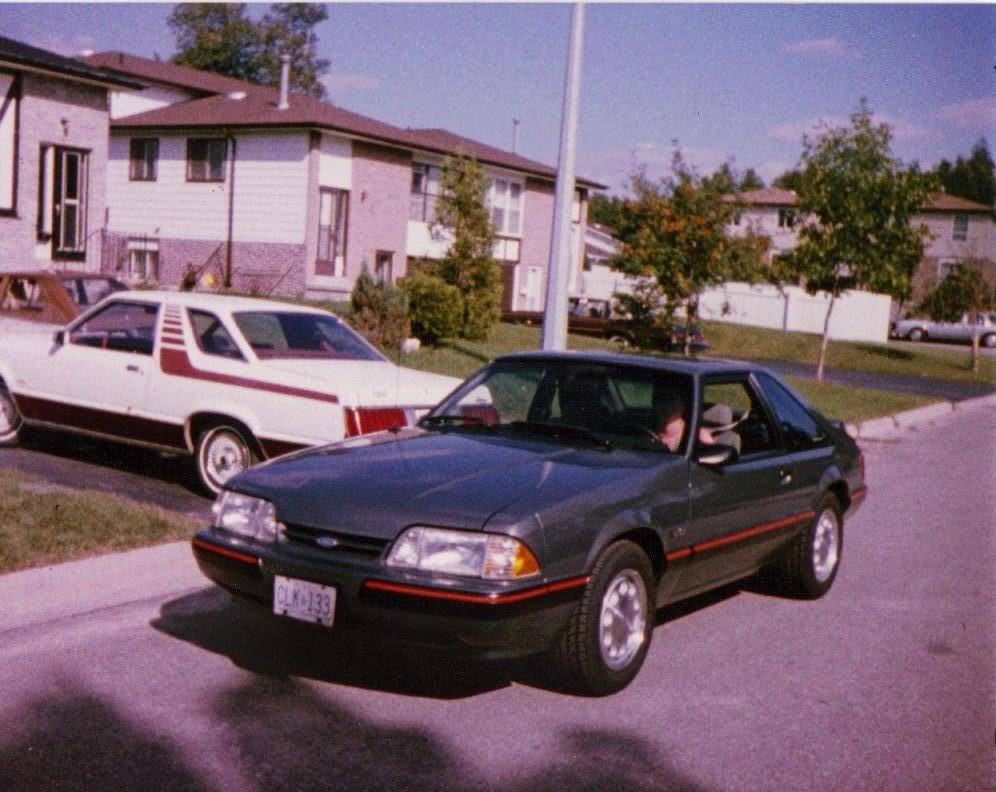 Name:  Eds_New_Car1.jpg
Views: 144
Size:  115.2 KB