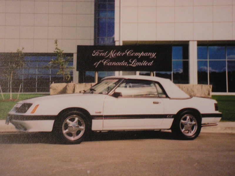 Name: PICT0206.jpg
Views: 87
Size: 56.3 KB