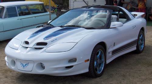 Name:  HPIM1295.jpg
Views: 73
Size:  28.0 KB