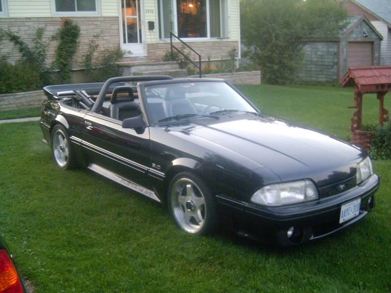 Name: mustangbimmer016-1.jpg
Views: 78
Size: 104.1 KB