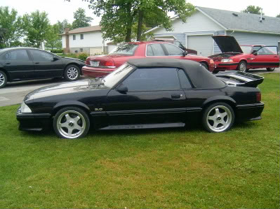 Name:  ricksMustangs026-1.jpg
Views: 102
Size:  40.2 KB