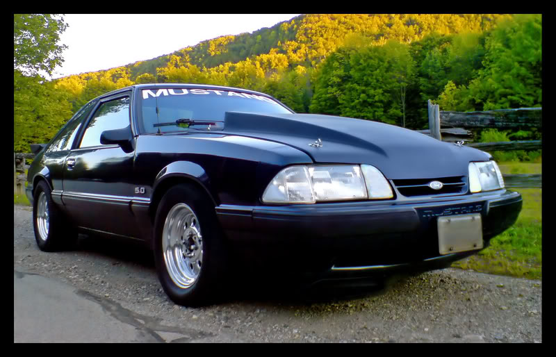 Name: DSC000321-1.jpg
Views: 118
Size: 92.8 KB