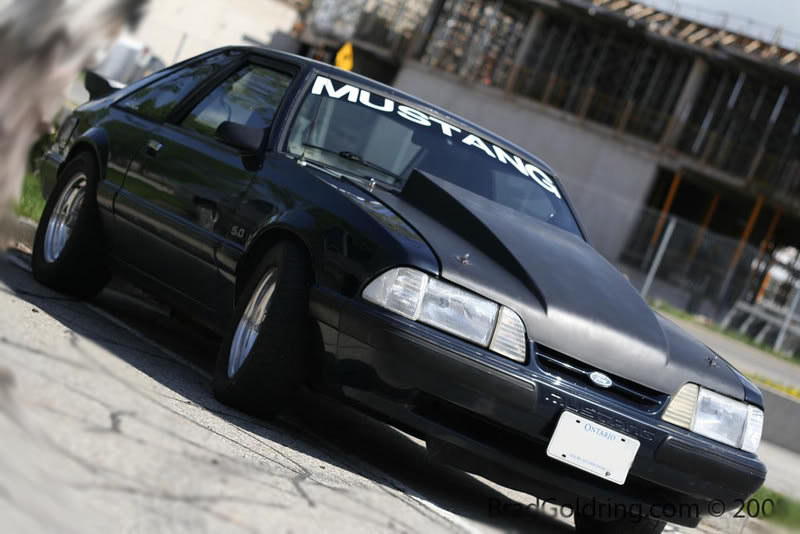 Name:  springcruise2008bradeditcopy.jpg
Views: 120
Size:  65.4 KB