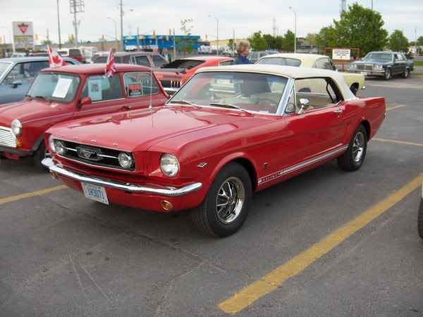 Name:  HPIM2675.jpg
Views: 141
Size:  55.8 KB