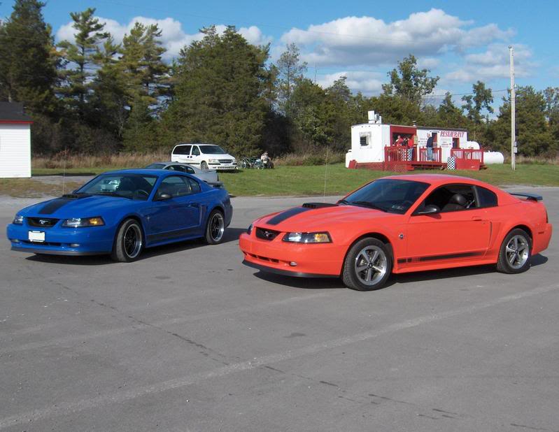 Name:  Friends7.jpg
Views: 343
Size:  73.1 KB