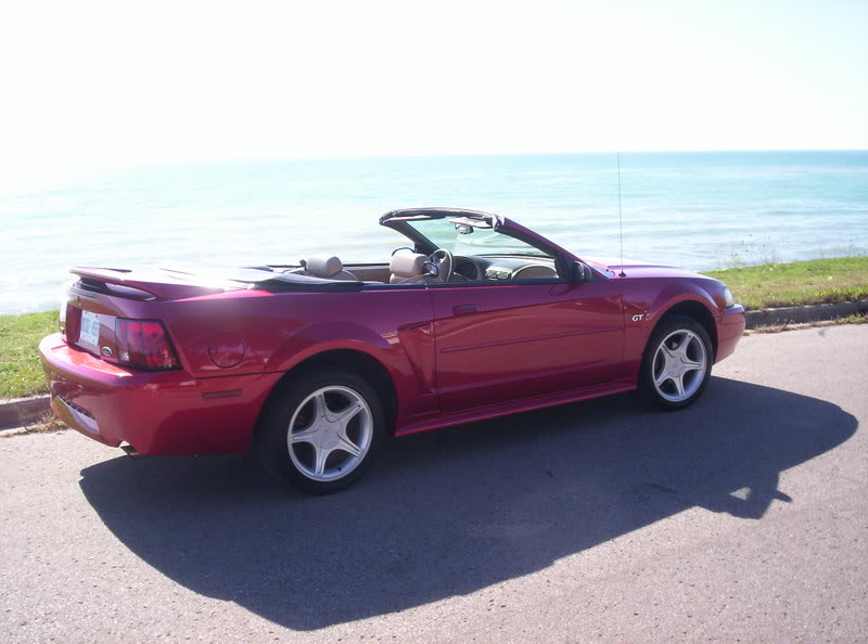 Name:  100_0462.jpg
Views: 91
Size:  59.7 KB