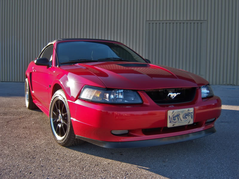 Name:  100_0285-1.jpg
Views: 87
Size:  104.3 KB