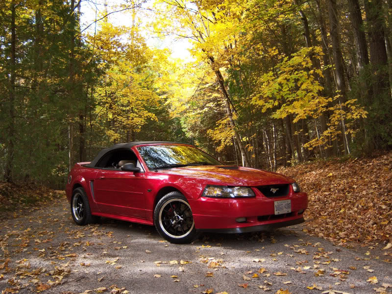 Name:  100_0408.jpg
Views: 37
Size:  191.6 KB