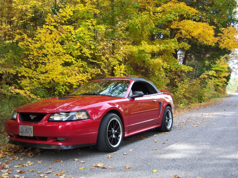 Name:  100_0400.jpg
Views: 40
Size:  194.0 KB