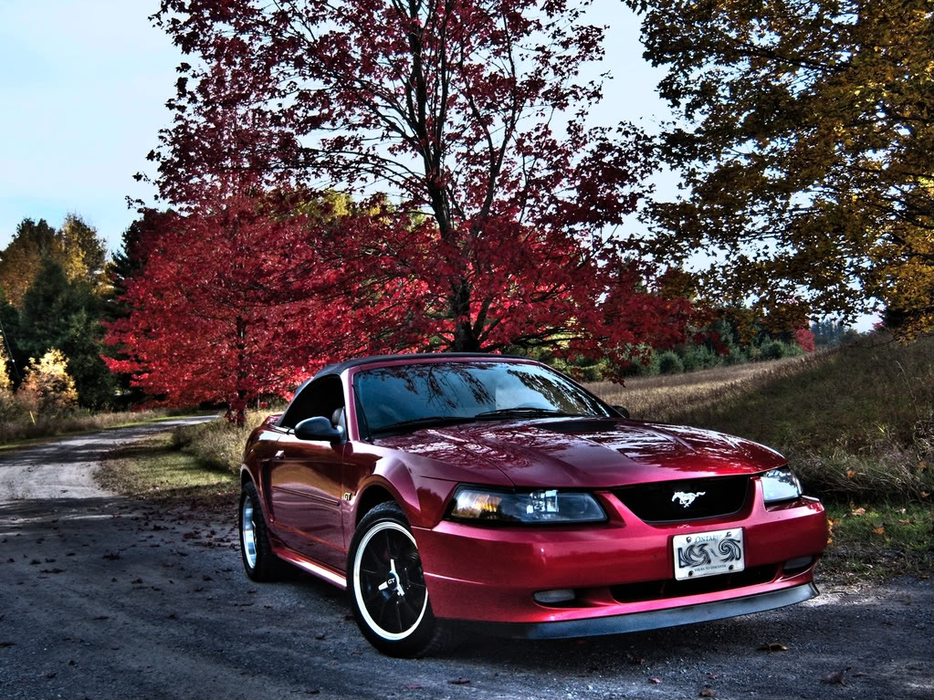 Name:  100_0421_copy_copy2_tonemapped.jpg
Views: 72
Size:  319.0 KB