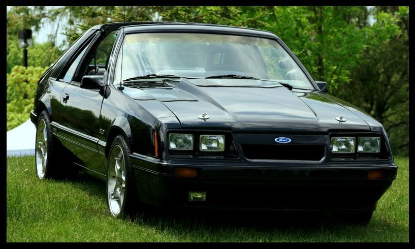 Name:  GTAMCBBQ2008030.jpg
Views: 20
Size:  72.3 KB