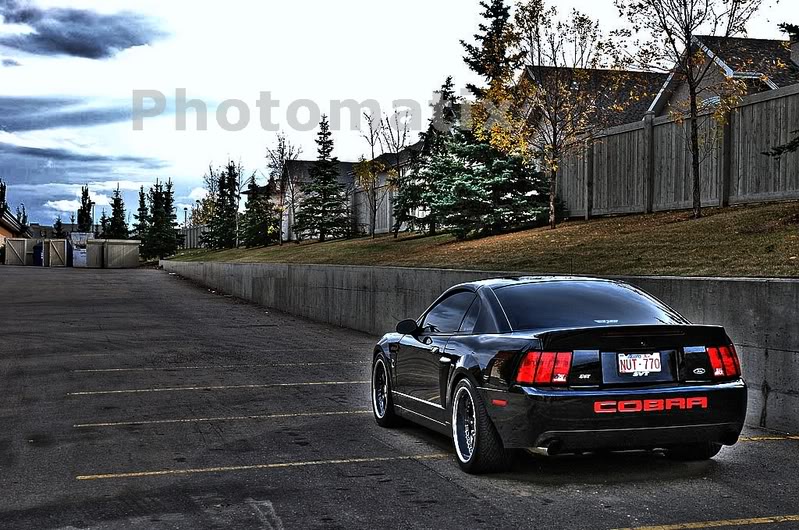 Name:  DSC_0339-1-2__-2.jpg
Views: 37
Size:  141.7 KB