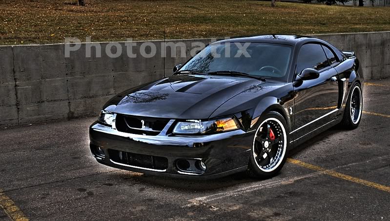 Name:  DSC_0308-1-2__-1.jpg
Views: 41
Size:  108.4 KB