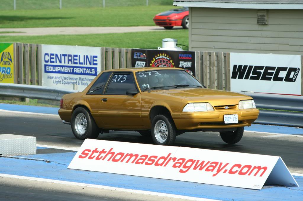 Name:  IMG_0261.jpg
Views: 16
Size:  101.8 KB