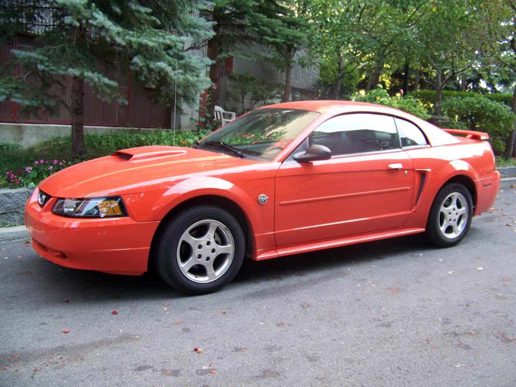 Name:  100_1730.jpg
Views: 635
Size:  139.6 KB