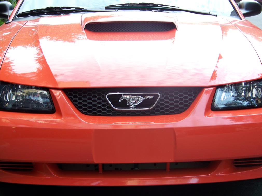 Name:  100_1731.jpg
Views: 207
Size:  83.2 KB