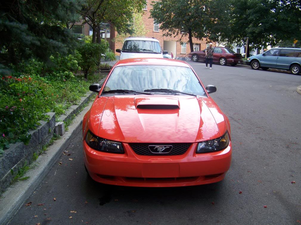 Name:  100_1733.jpg
Views: 216
Size:  136.8 KB