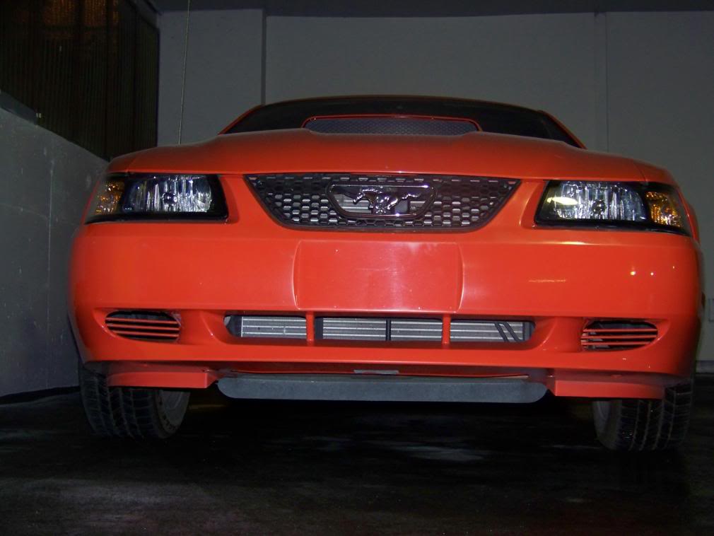 Name:  100_1738.jpg
Views: 239
Size:  69.4 KB