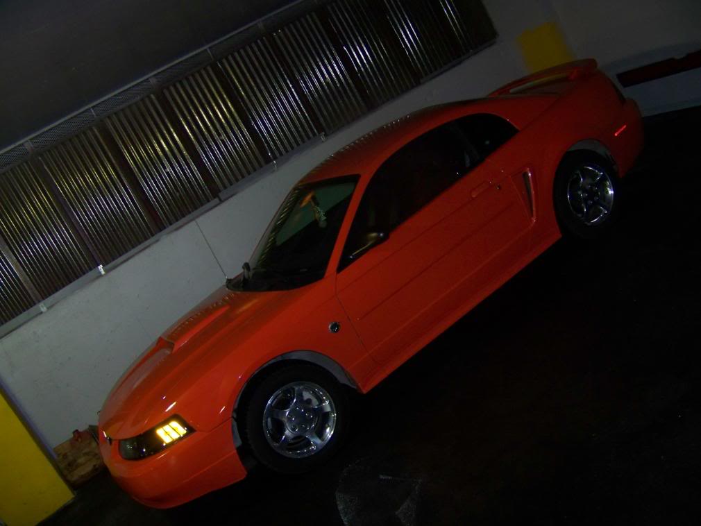 Name:  100_1741.jpg
Views: 193
Size:  73.2 KB