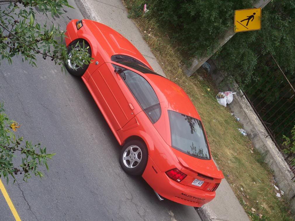 Name:  100_2038.jpg
Views: 202
Size:  141.6 KB