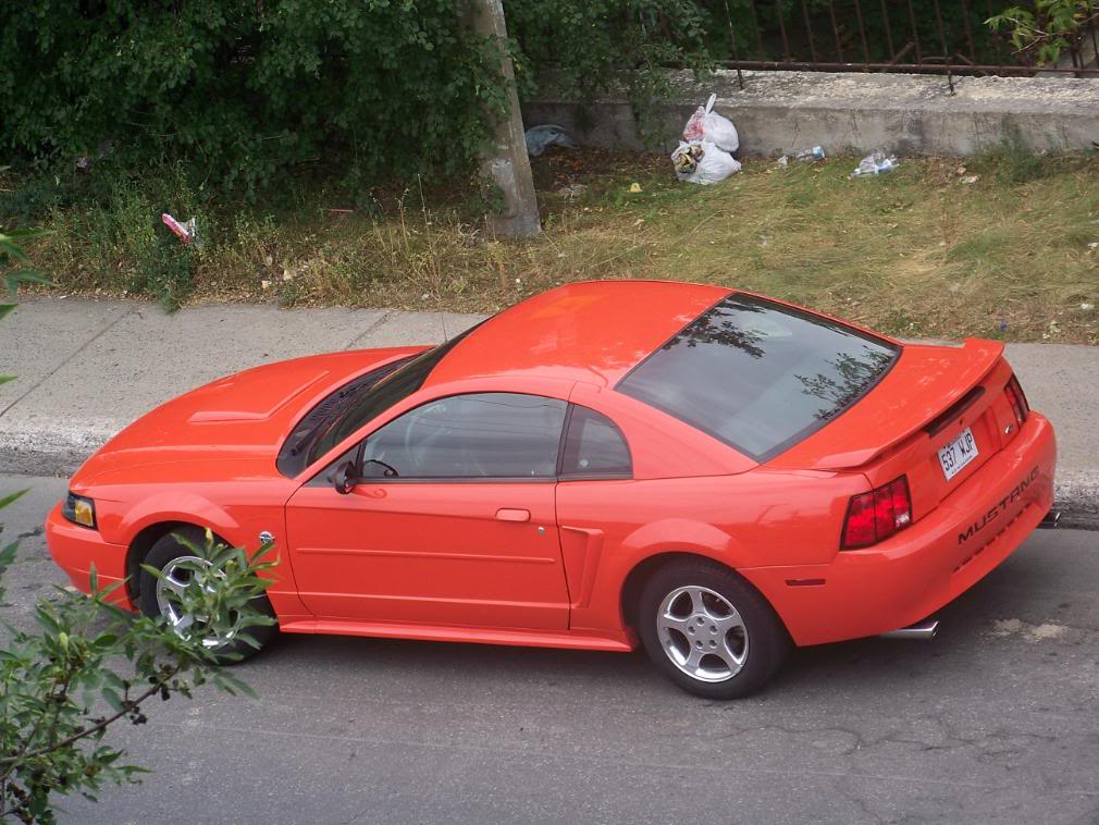 Name:  100_2039.jpg
Views: 381
Size:  134.4 KB