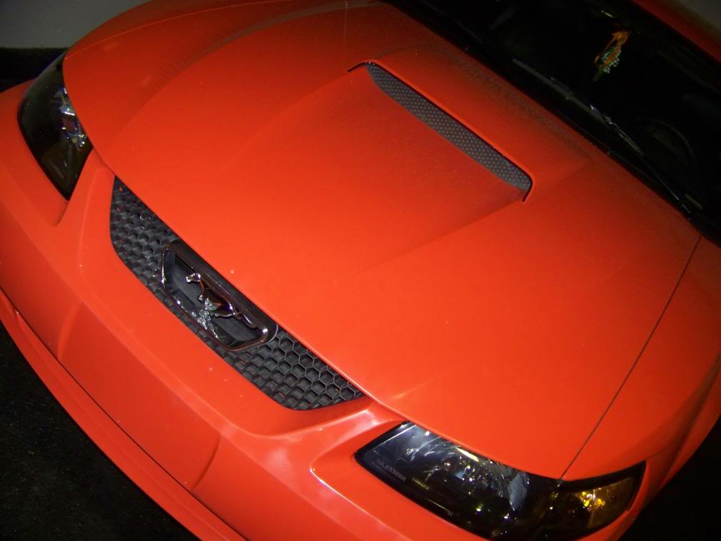 Name:  100_1751.jpg
Views: 208
Size:  62.9 KB