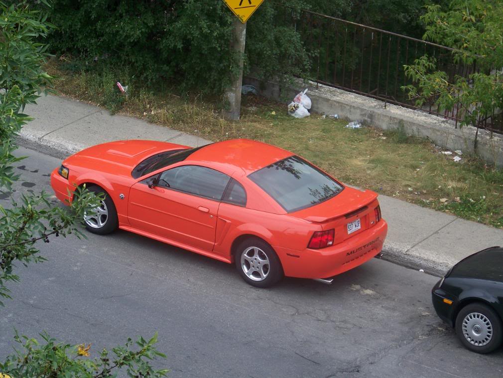 Name:  100_2037.jpg
Views: 262
Size:  132.9 KB