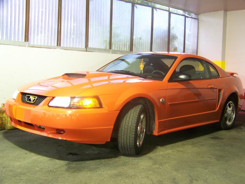 Name:  100_2660.jpg
Views: 309
Size:  95.1 KB