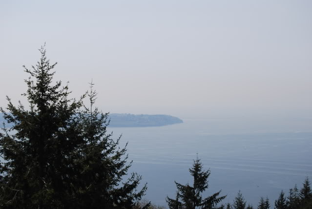 Name:  029.jpg
Views: 53
Size:  63.1 KB