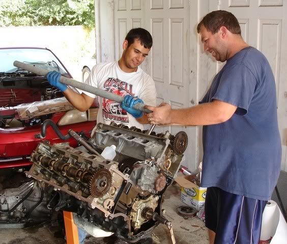 Name:  swap00010.jpg
Views: 20
Size:  69.9 KB