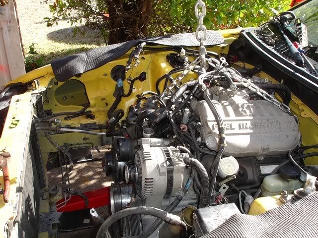 Name:  swap00004.jpg
Views: 26
Size:  104.2 KB