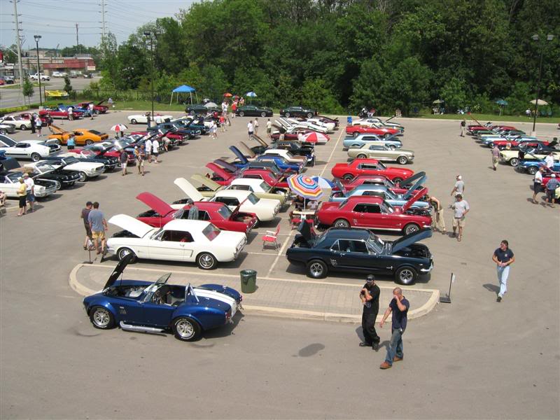 Name:  IMG_3457Medium.jpg
Views: 44
Size:  87.6 KB