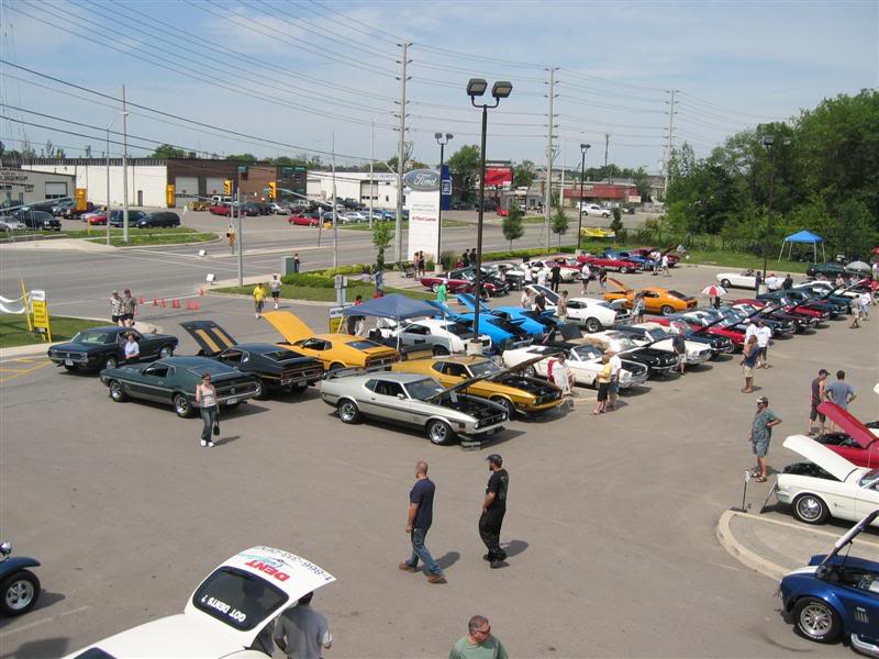 Name:  IMG_3458Medium.jpg
Views: 24
Size:  81.1 KB